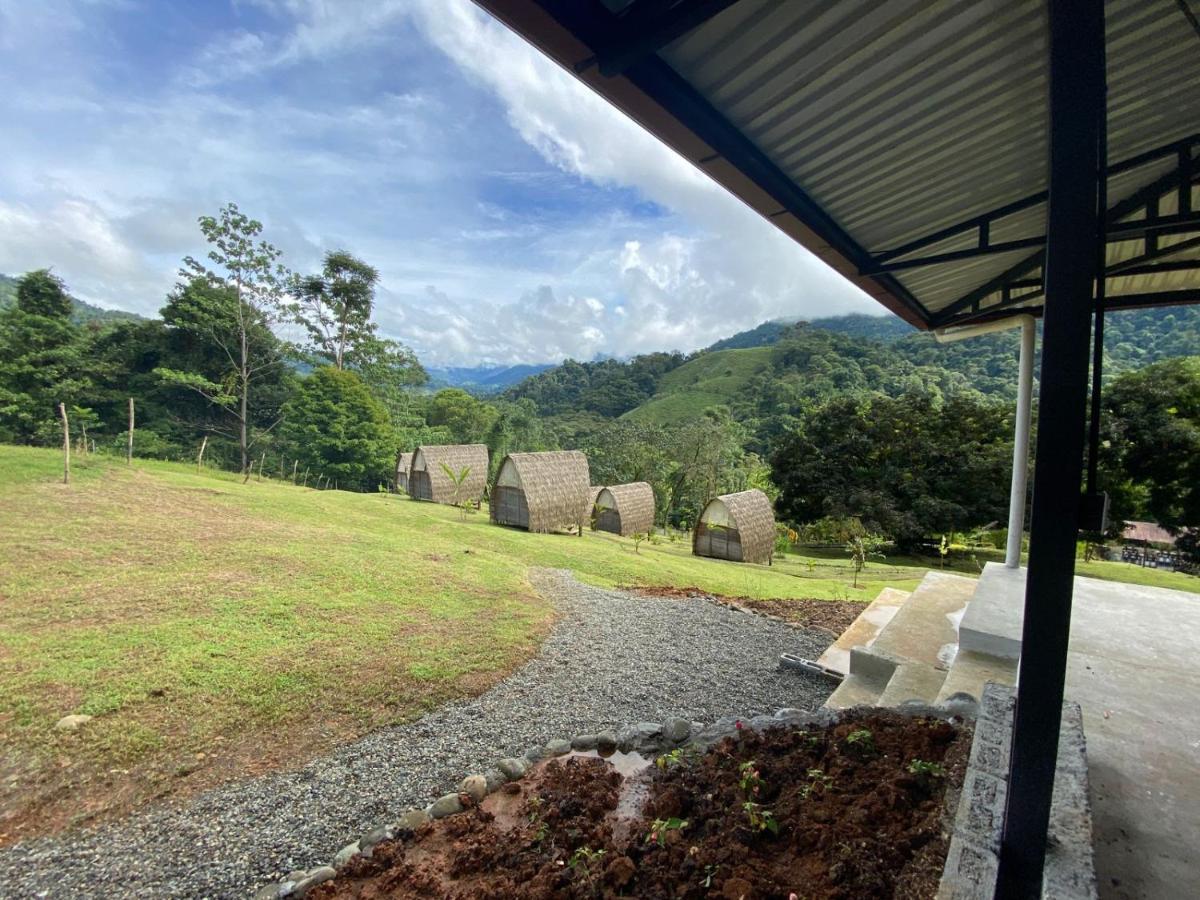 Esquipulas Rainforest Quepos Eksteriør bilde