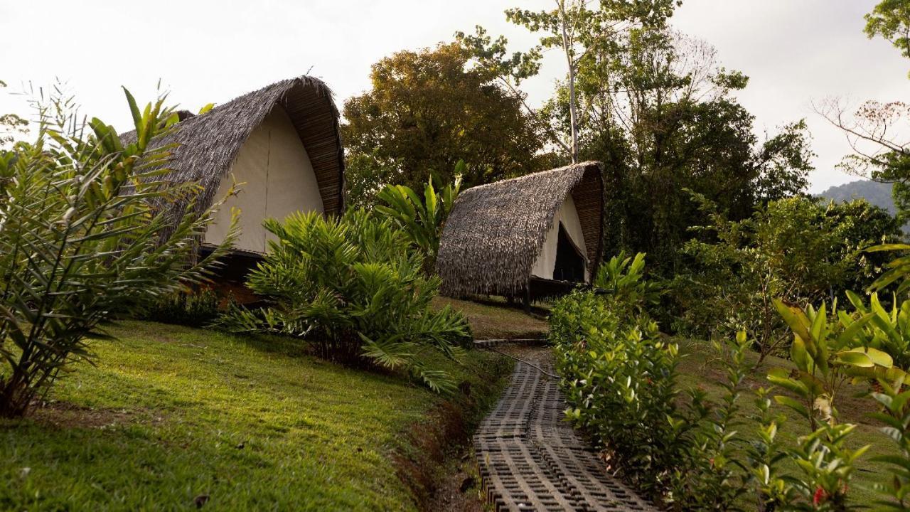 Esquipulas Rainforest Quepos Eksteriør bilde