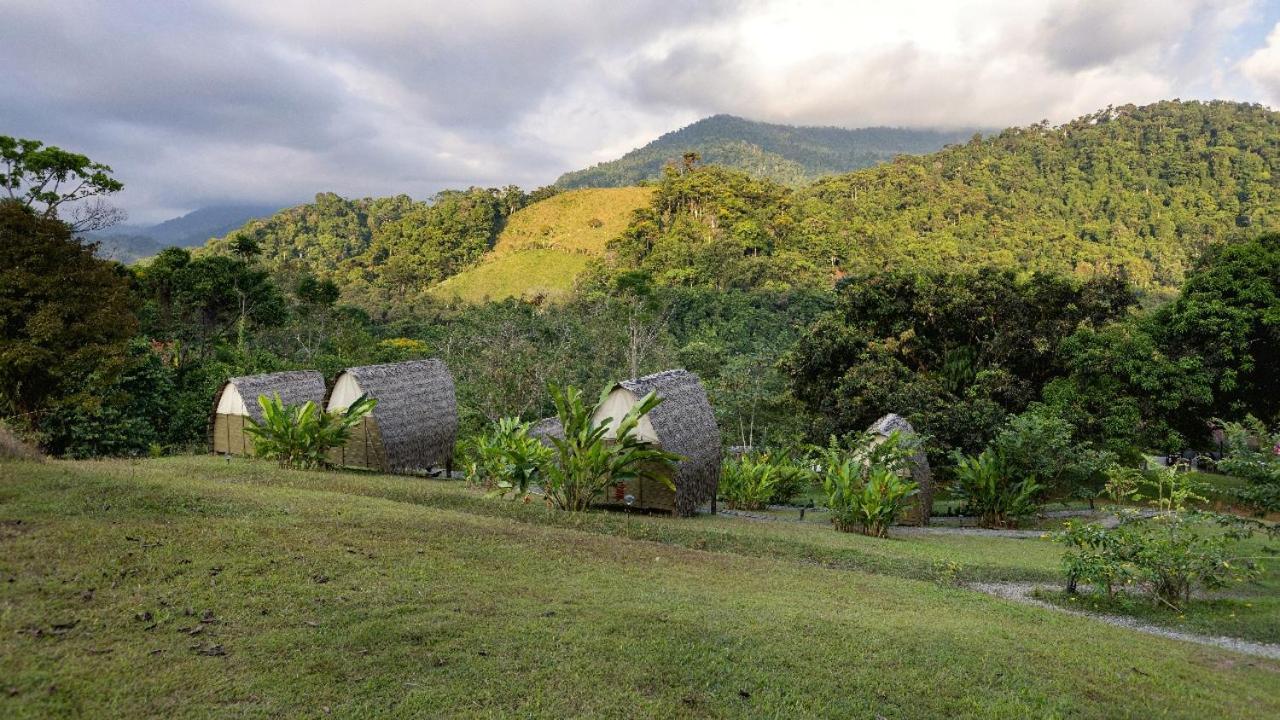 Esquipulas Rainforest Quepos Eksteriør bilde