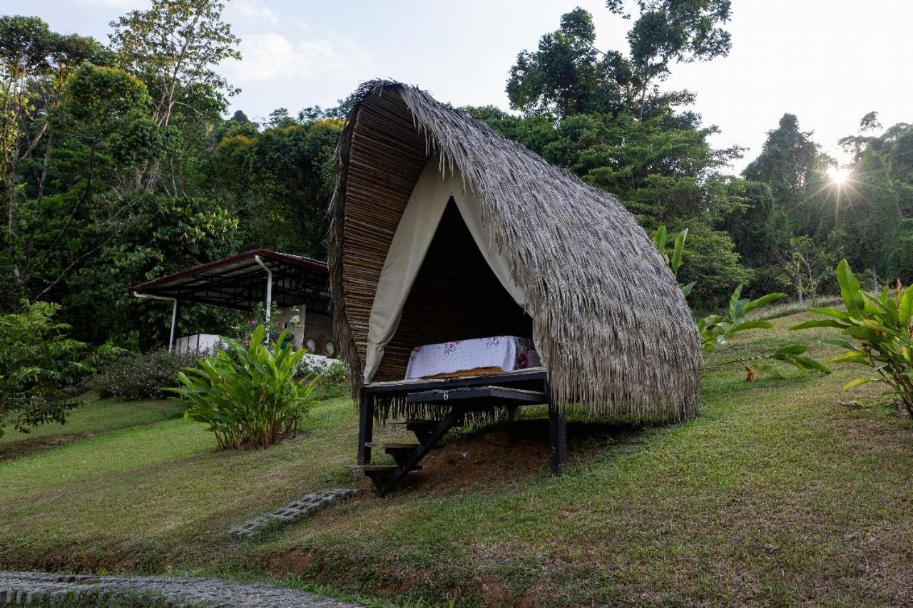 Esquipulas Rainforest Quepos Eksteriør bilde